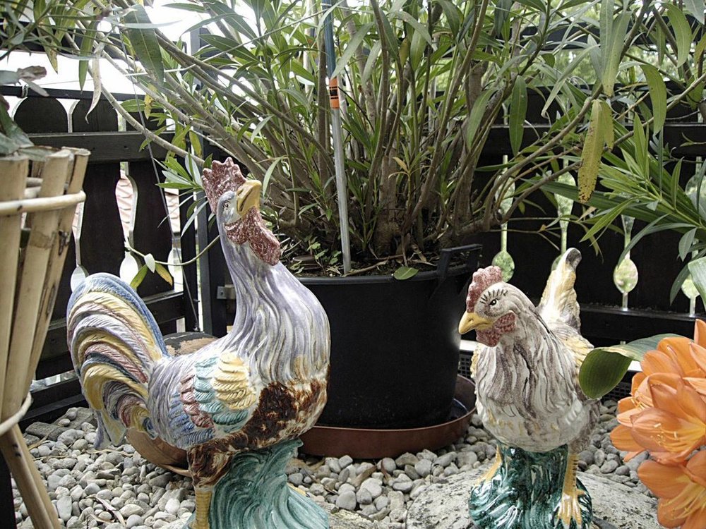 Haus u.Terasse 00017.JPG