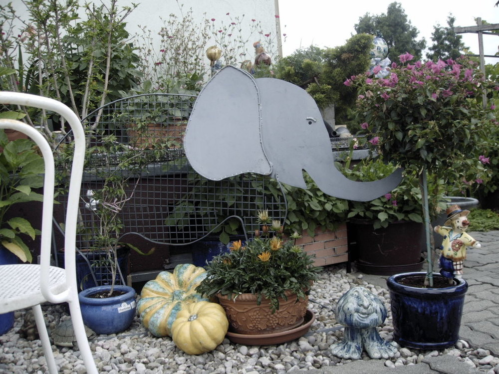 Haus u.Terasse 00026.JPG