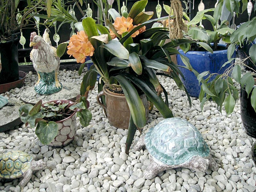 Haus u.Terasse 00016.JPG