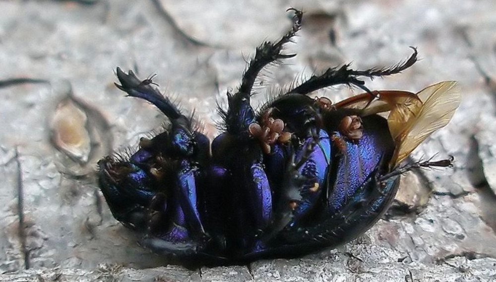 Bildschirmfoto 2022-02-21 um 16.29.49.jpg