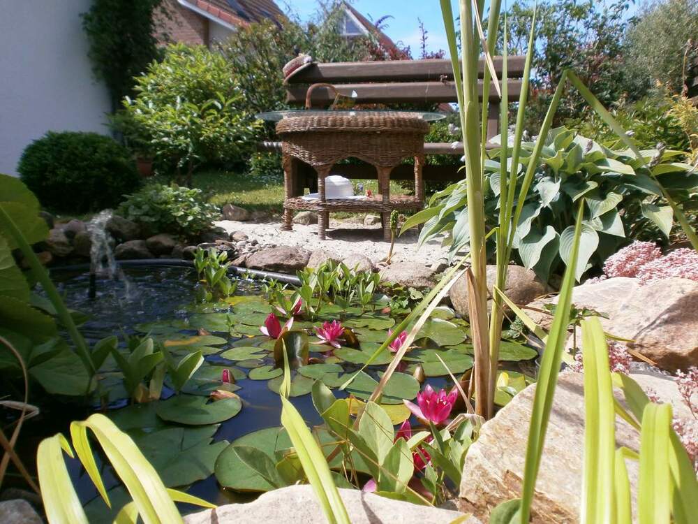 hinterm Haus 003.JPG