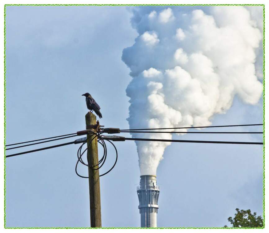 Radtour Werdersee 017b.jpg