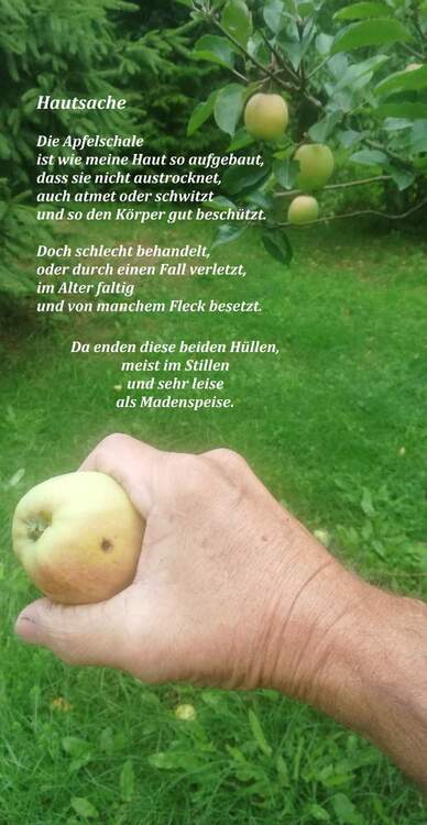 467707118_Buch3Hautsache.thumb.jpg.0204f751849632af2552044aac778007.jpg