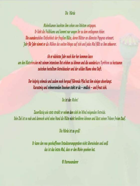 DSCN0905 - Kopie(1)(5).jpg